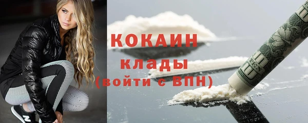 шишки Сосновоборск