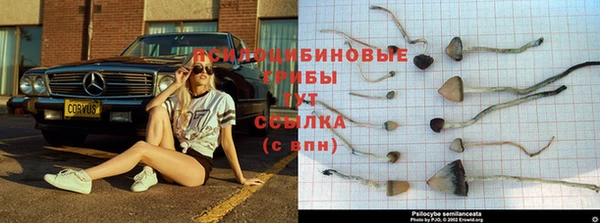 мефедрон Аркадак