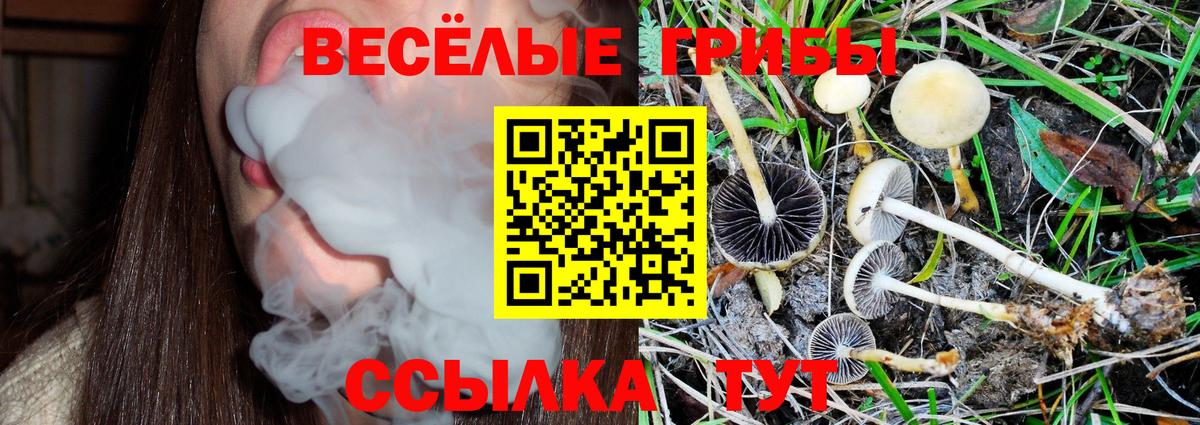 Барабинск  Галлюциногенные грибы Cubensis  Вход с VPN 